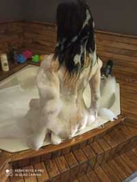 İlkadım'daki Tutkulu Bayan: Hizmetler Ve Ayrıntılar